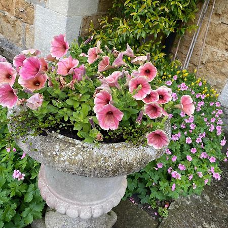 Ellesmere House Castle Cary Esterno foto