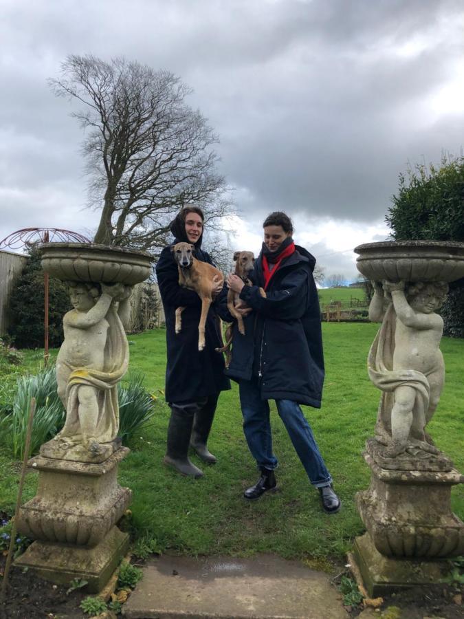 Ellesmere House Castle Cary Esterno foto