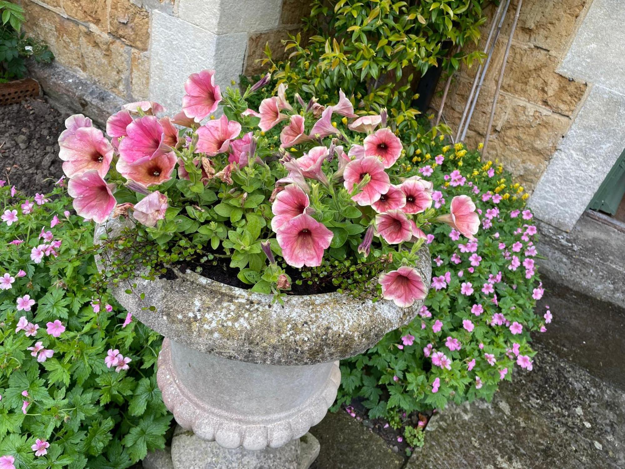 Ellesmere House Castle Cary Esterno foto